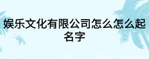 娛樂(lè)文化有限公司怎么怎么起名字