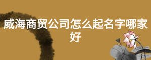 威海商貿(mào)公司怎么起名字哪家好