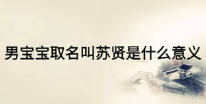 男寶寶取名叫蘇賢是什么意義