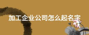 加工企業(yè)公司怎么起名字