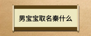 男寶寶取名秦什么