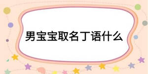 男寶寶取名丁語什么