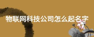 物聯(lián)網(wǎng)科技公司怎么起名字