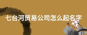 七臺河貿易公司怎么起名字