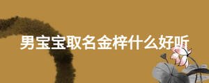 男寶寶取名金梓什么好聽