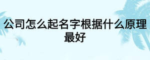 公司怎么起名字根據(jù)什么原理最好