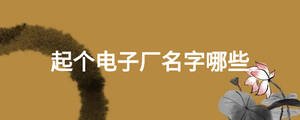 起個(gè)電子廠名字哪些
