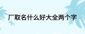 廠取名什么好大全兩個字