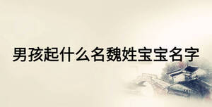 男孩起什么名魏姓寶寶名字