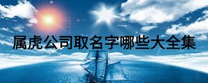 屬虎公司取名字哪些大全集