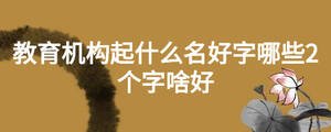 教育機構起什么名好字哪些2個字啥好