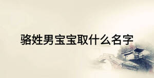 駱姓男寶寶取什么名字
