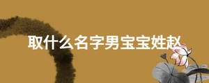 取什么名字男寶寶姓趙