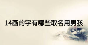 14畫的字有哪些取名用男孩