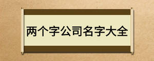 兩個字公司名字大全