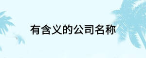 有含義的公司名稱(chēng)
