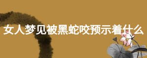 女人夢(mèng)見被黑蛇咬預(yù)示著什么