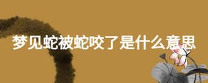 夢(mèng)見蛇被蛇咬了是什么意思