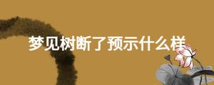 夢見樹斷了預(yù)示什么樣
