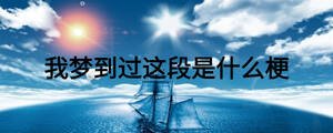 我夢(mèng)到過這段是什么梗