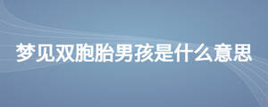 夢(mèng)見雙胞胎男孩是什么意思