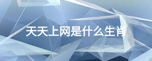 天天上網是什么生肖