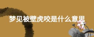 夢見被壁虎咬是什么意思