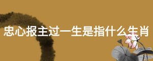 忠心報(bào)主過(guò)一生是指什么生肖