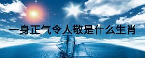 一身正氣令人敬是什么生肖