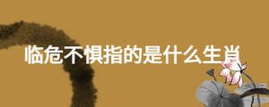臨危不懼指的是什么生肖