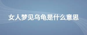 女人夢見烏龜是什么意思
