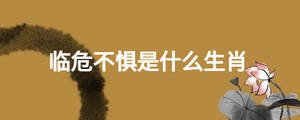 臨危不懼是什么生肖