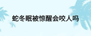 蛇冬眠被驚醒會咬人嗎