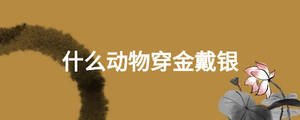 什么動物穿金戴銀