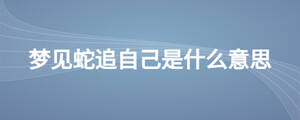 夢見蛇追自己是什么意思