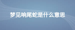 夢見響尾蛇是什么意思