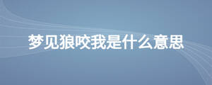 夢見狼咬我是什么意思