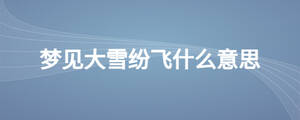 夢見大雪紛飛什么意思