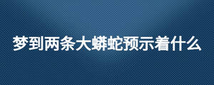 夢到兩條大蟒蛇預示著什么