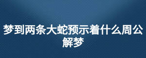 夢到兩條大蛇預示著什么周公解夢