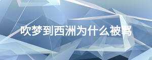吹夢到西洲為什么被罵