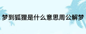 夢到狐貍是什么意思周公解夢