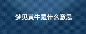 夢(mèng)見黃牛是什么意思