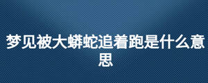 夢見被大蟒蛇追著跑是什么意思