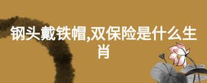 鋼頭戴鐵帽,雙保險(xiǎn)是什么生肖