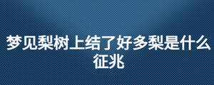 夢(mèng)見(jiàn)梨樹(shù)上結(jié)了好多梨是什么征兆
