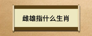雌雄指什么生肖	