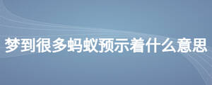 夢到很多螞蟻預(yù)示著什么意思