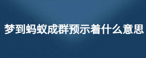 夢到螞蟻成群預示著什么意思