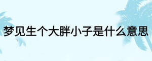 夢(mèng)見生個(gè)大胖小子是什么意思